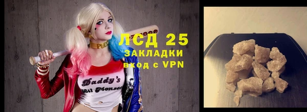 мдпв Елабуга