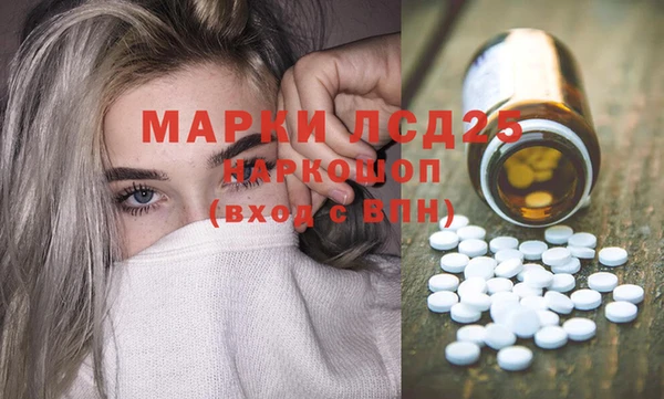 мяу мяу мука Дмитриев