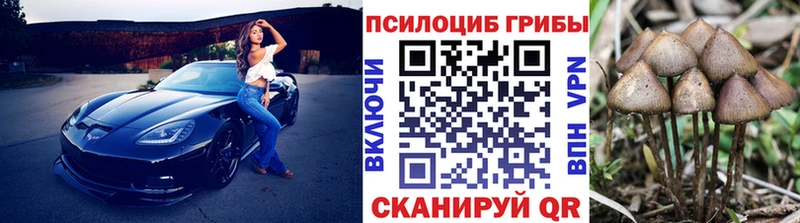 Псилоцибиновые грибы MAGIC MUSHROOMS Шебекино