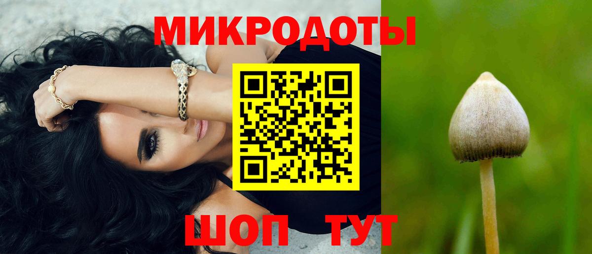 Галлюциногенные грибы GOLDEN TEACHER Шебекино